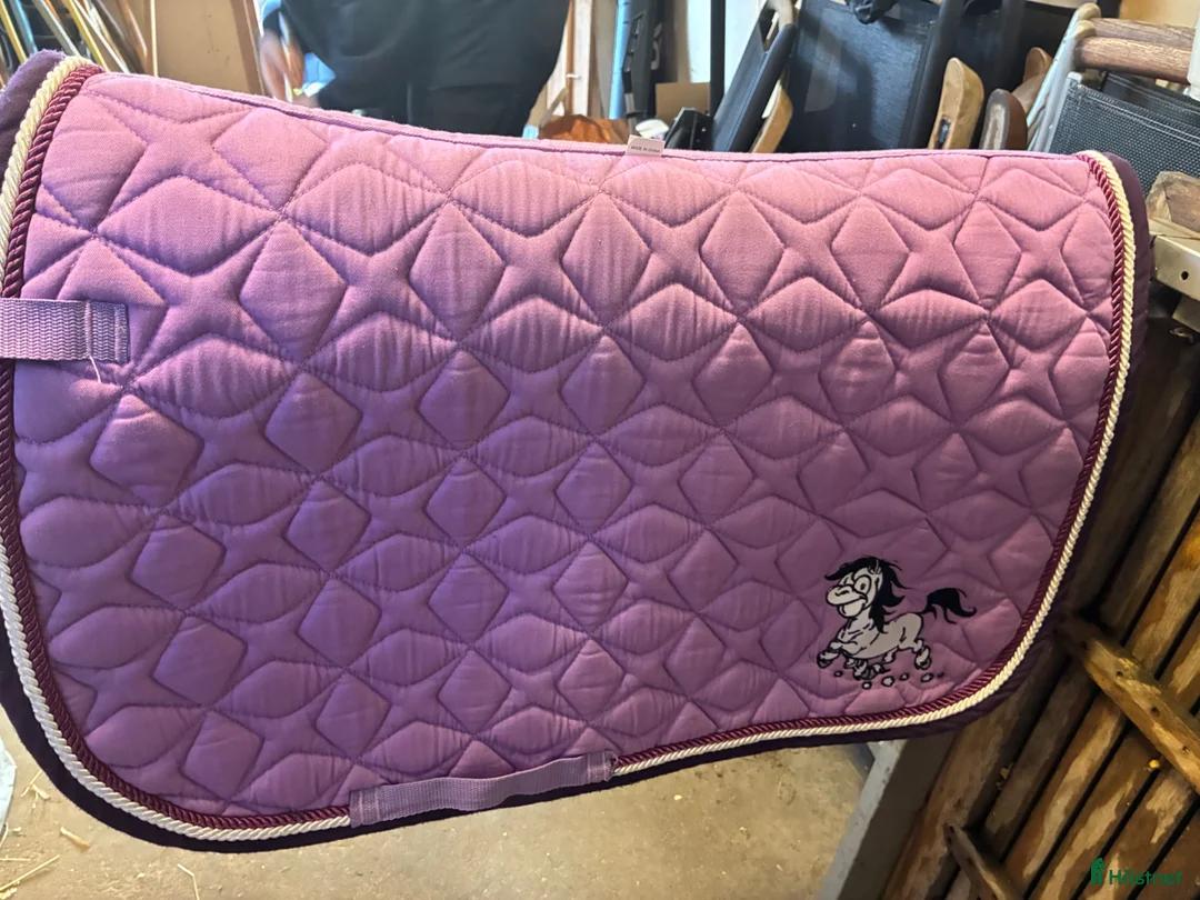 Schabrak & Vojlockar hästutrustning till salu: Mulle schabrak  - Annons 1