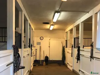 stallplats Boxplats - Annons 2