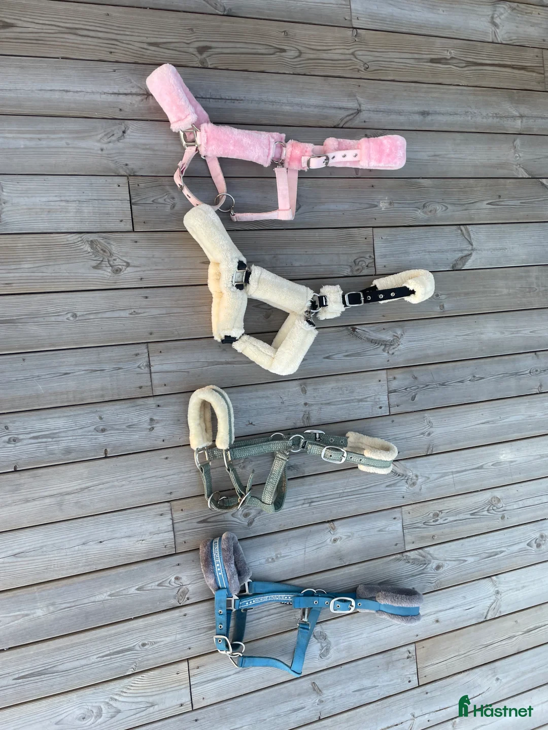 Övrig Hästutrustning hästutrustning till salu: Grimmor, Horse unique, Hööks - Annons 2