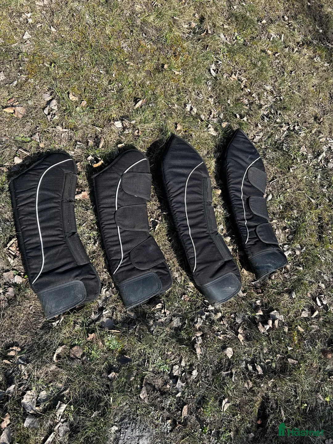 Benskydd hästutrustning till salu: Transportskydd strl FULL - Annons 1