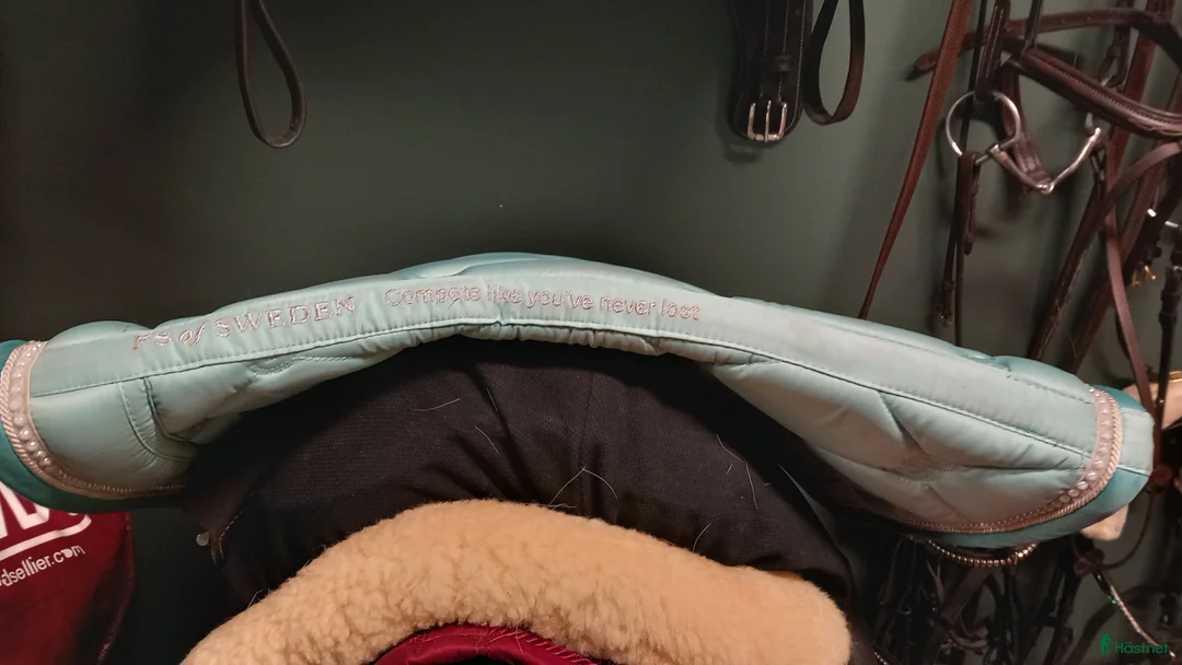 Schabrak & Vojlockar hästutrustning till salu: Schabrak 350kr i Arboga - Annons 6