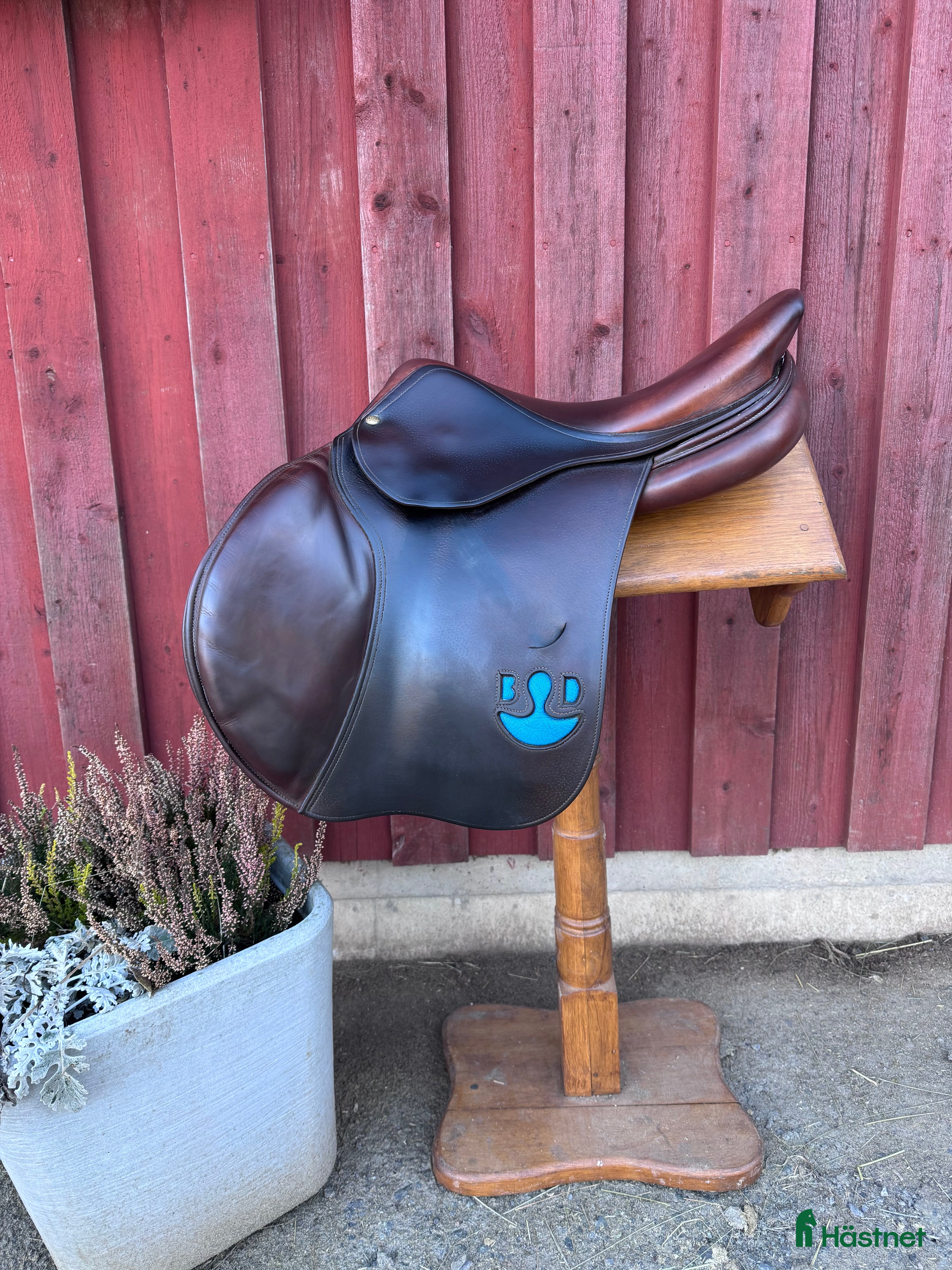 Sadlar hästutrustning Bruno Delgrange Virtuose - Annons 4