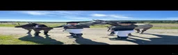 Hoppning hästar till salu: Fin diamant  - Annons 3