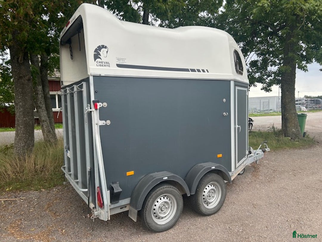 Hästtransporter  fordon & transport till salu: Cheval Liberté Gold 2017 i Kalmar - Annons 6