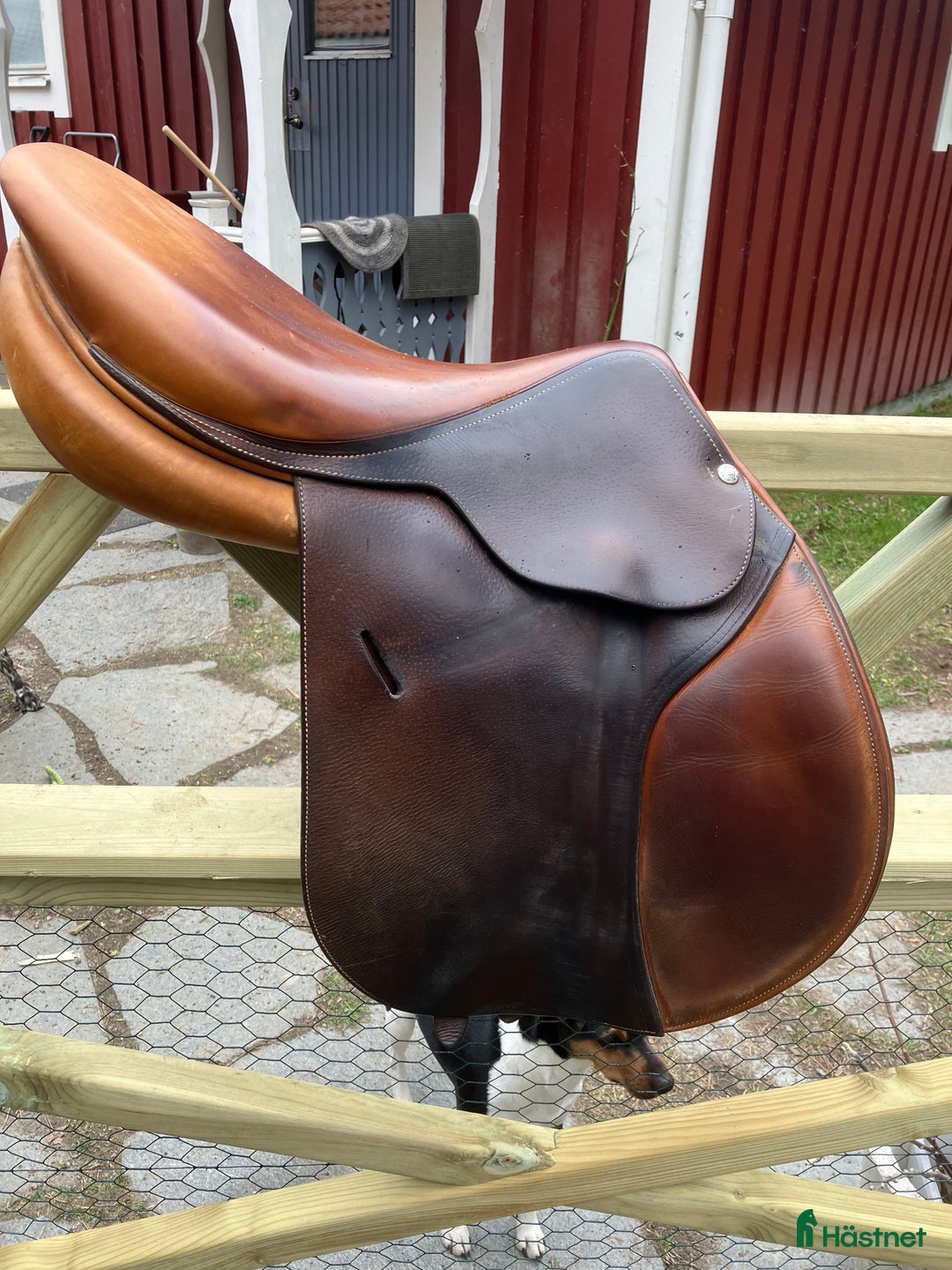 Sadlar hästutrustning till salu: Fin butet i Kilafors - Annons 2