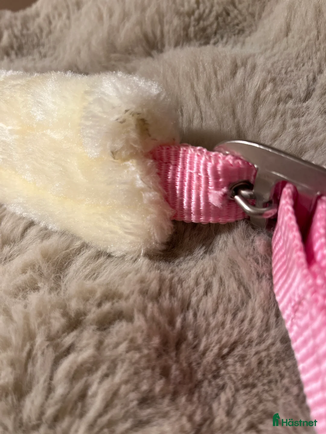 Övrig Hästutrustning hästutrustning till salu: Rosa mulle grimma - Annons 2