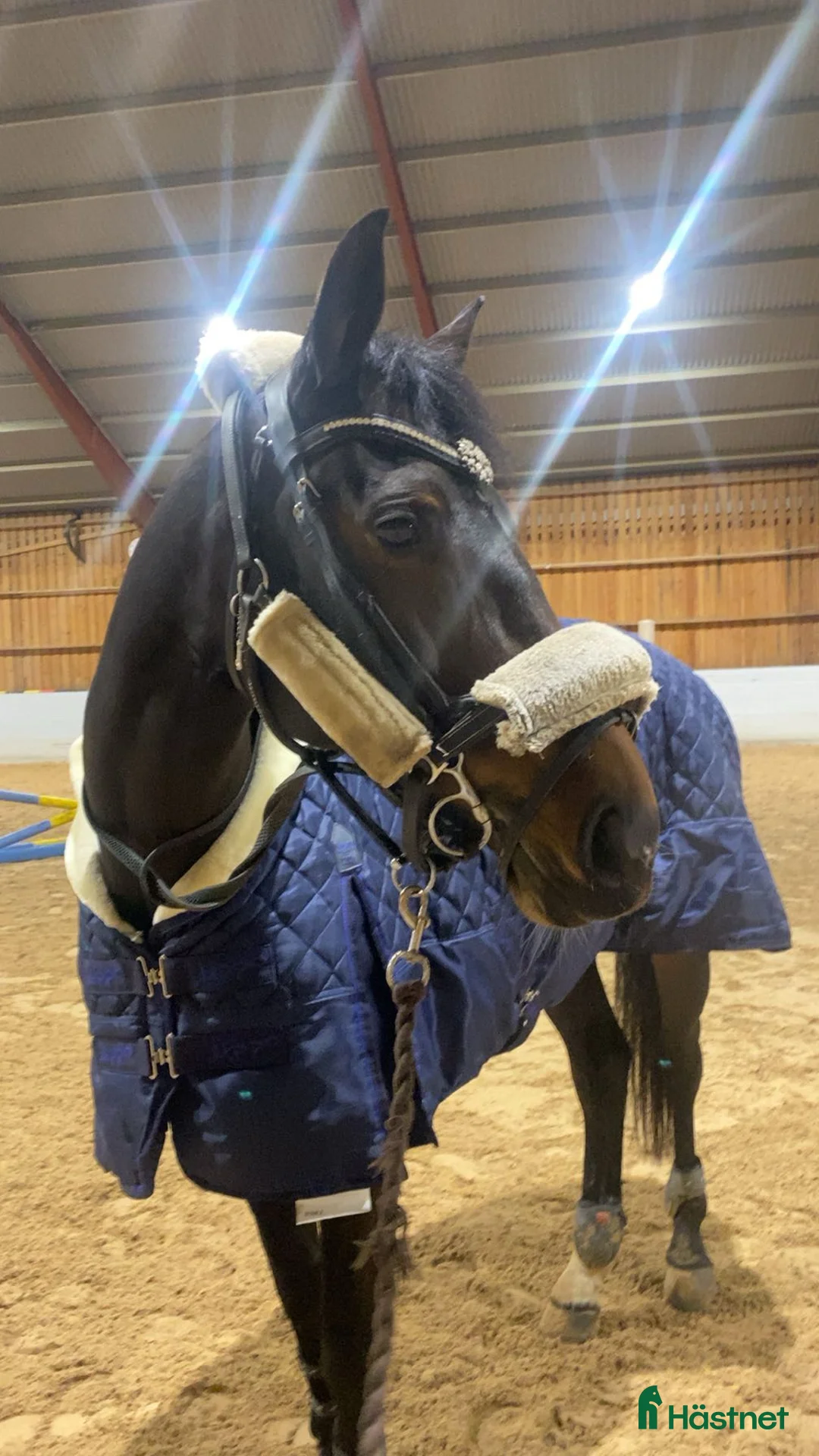 Galleribild {{count}}