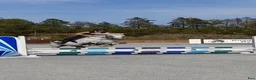 Allround hästar till salu: Vacker Connemara med stor personlighet - Annons 6