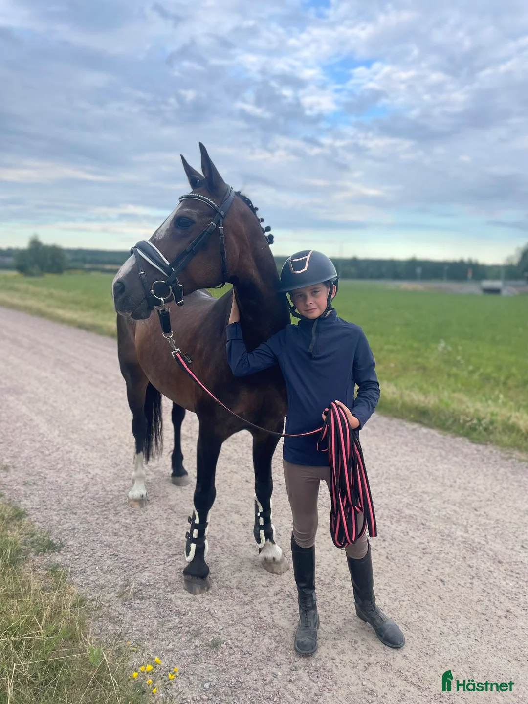 Allround hästar till salu: Fin C-ponny som projekt - Annons 2