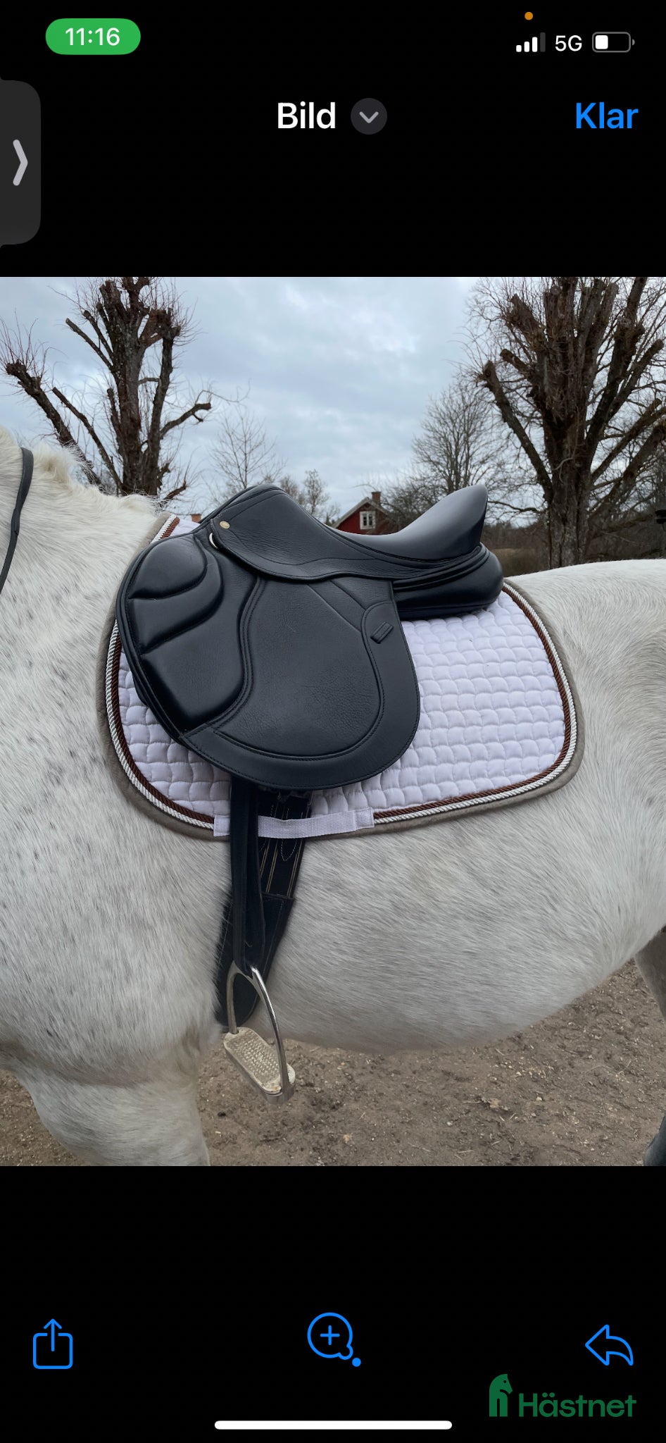 Sadlar hästutrustning 🐴 Sadel till salu – kvalitets‑hoppsadel 17” - Annons 6