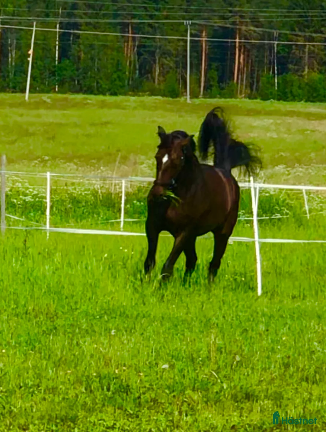 Galleribild {{count}}