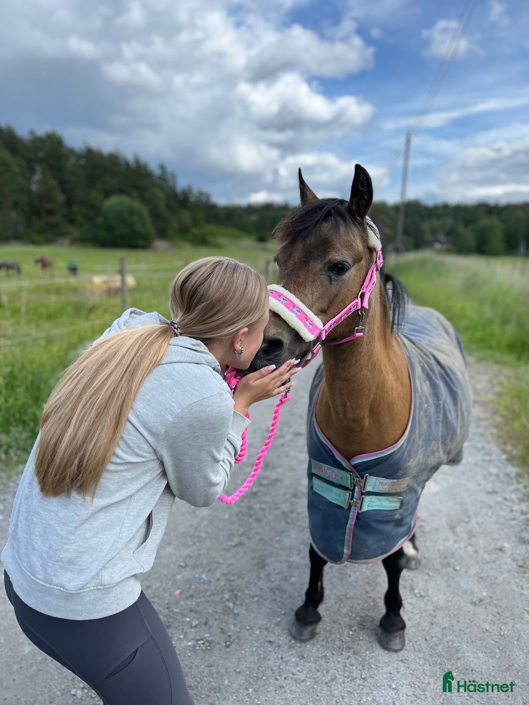 Allround hästar sökes: Medryttare sökes  i Åkersberga - Annons 1