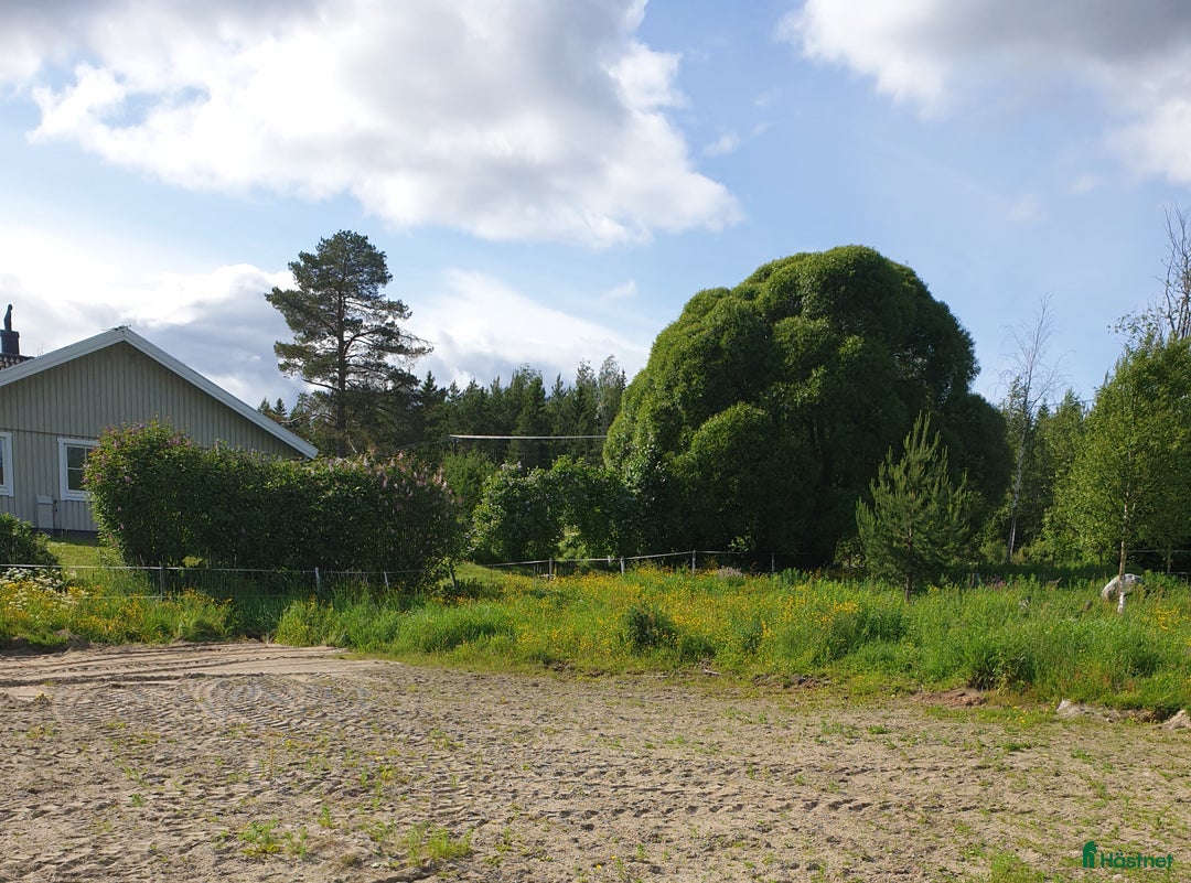  stallplats finnes: Lösdrift  Sundsvall  Oxsta  i Sundsvall - Annons 4