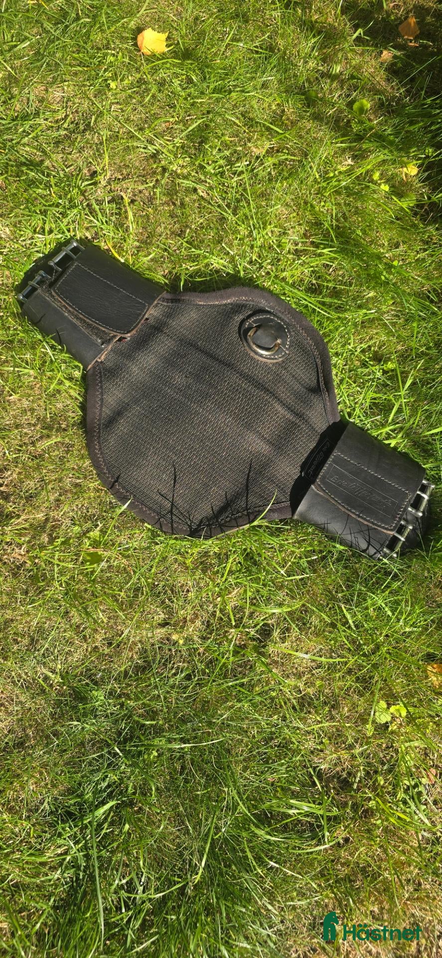 Sadeltillbehör hästutrustning till salu: ELT sadelgjord 40 cm - Annons 1