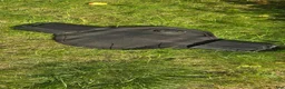 Sadeltillbehör hästutrustning till salu: ELT sadelgjord 40 cm - Annons 1