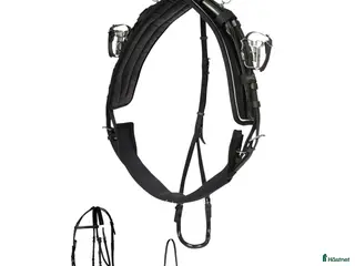 Travselar trav till salu: Tävlingsselar - Annons 2