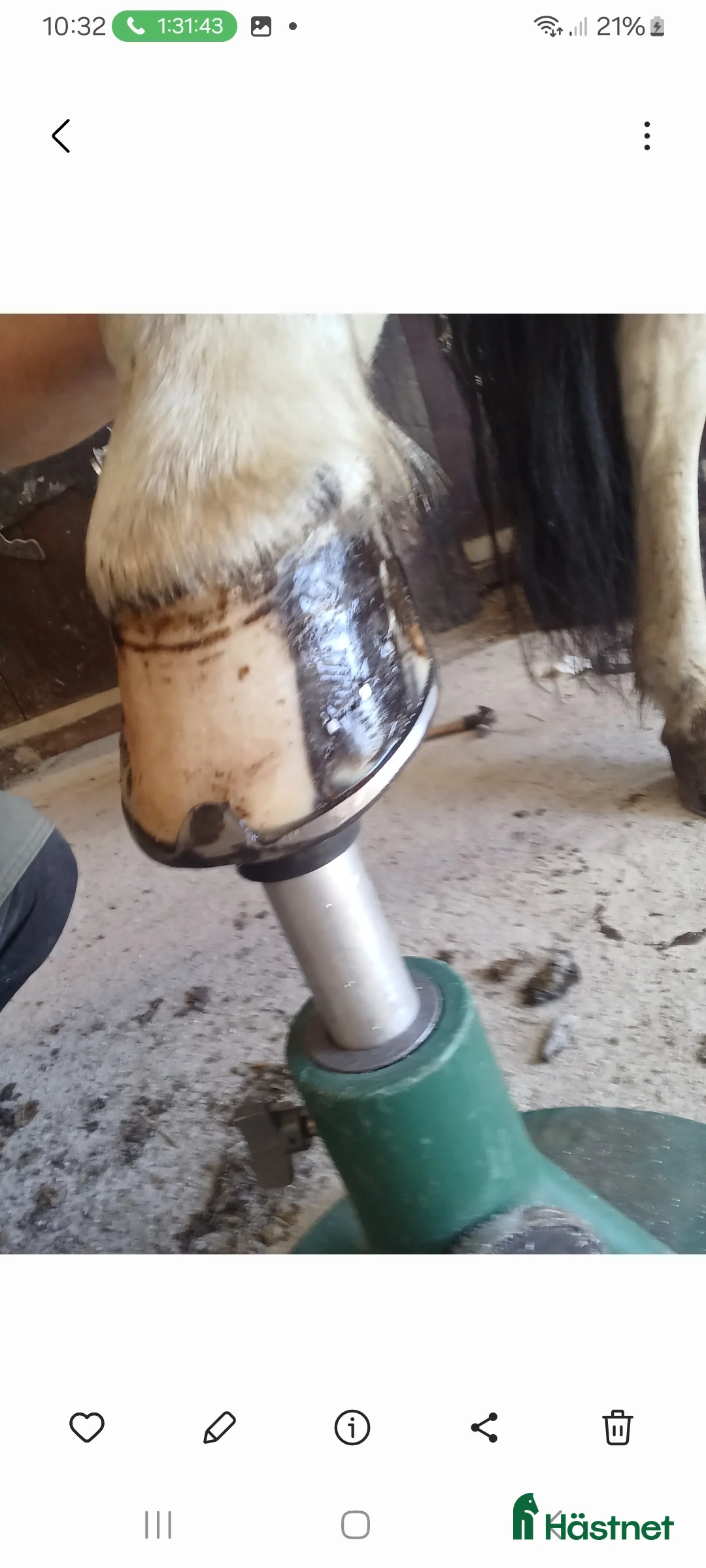  hästservice finnes: Hovslagare  i Örebro - Annons 2