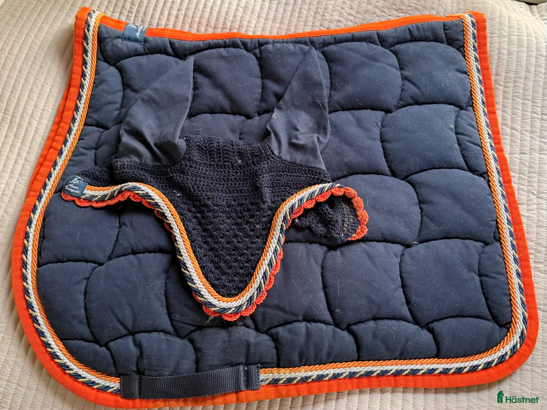 Schabrak & Vojlockar hästutrustning till salu: Super fint tävlingsset - Annons 2