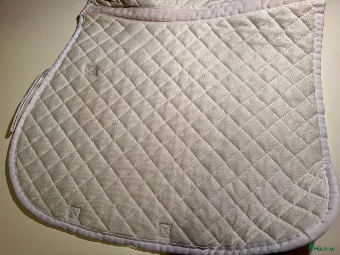 Schabrak & Vojlockar hästutrustning till salu: Schabrak - ponny i Linköping - Annons 10