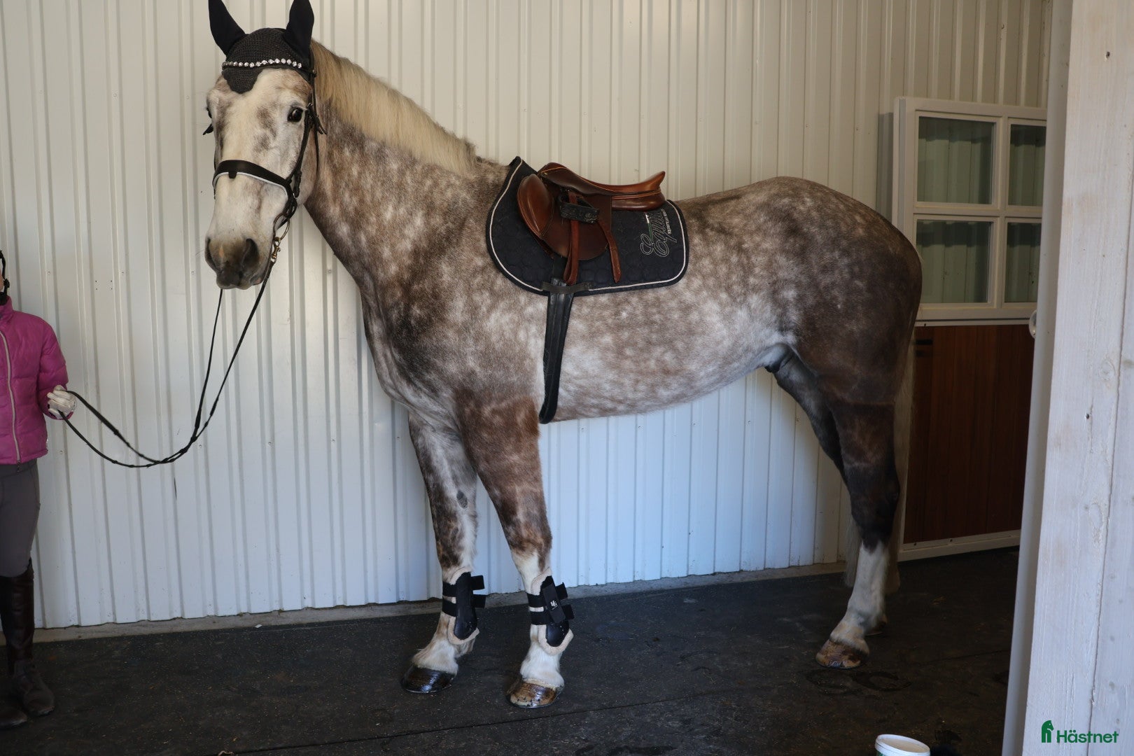  hästar RIDSKOLA / VERKSAMHET / Valack 174 cm - Annons 1