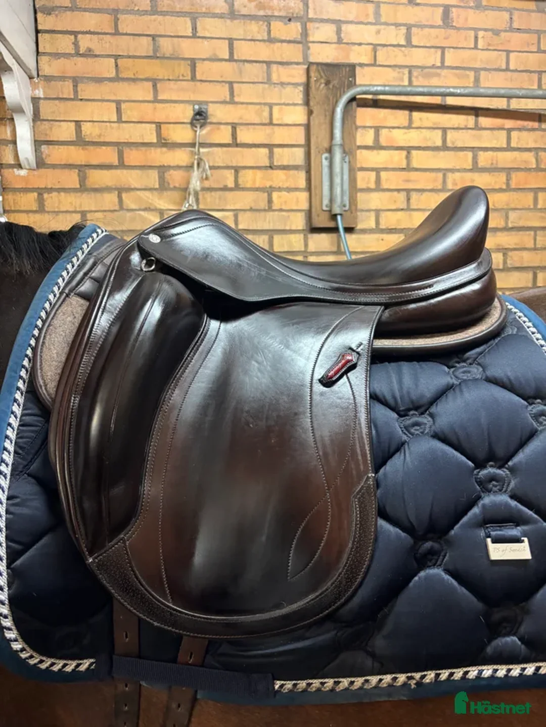 Sadlar hästutrustning till salu: Equipe sadel  - Annons 2