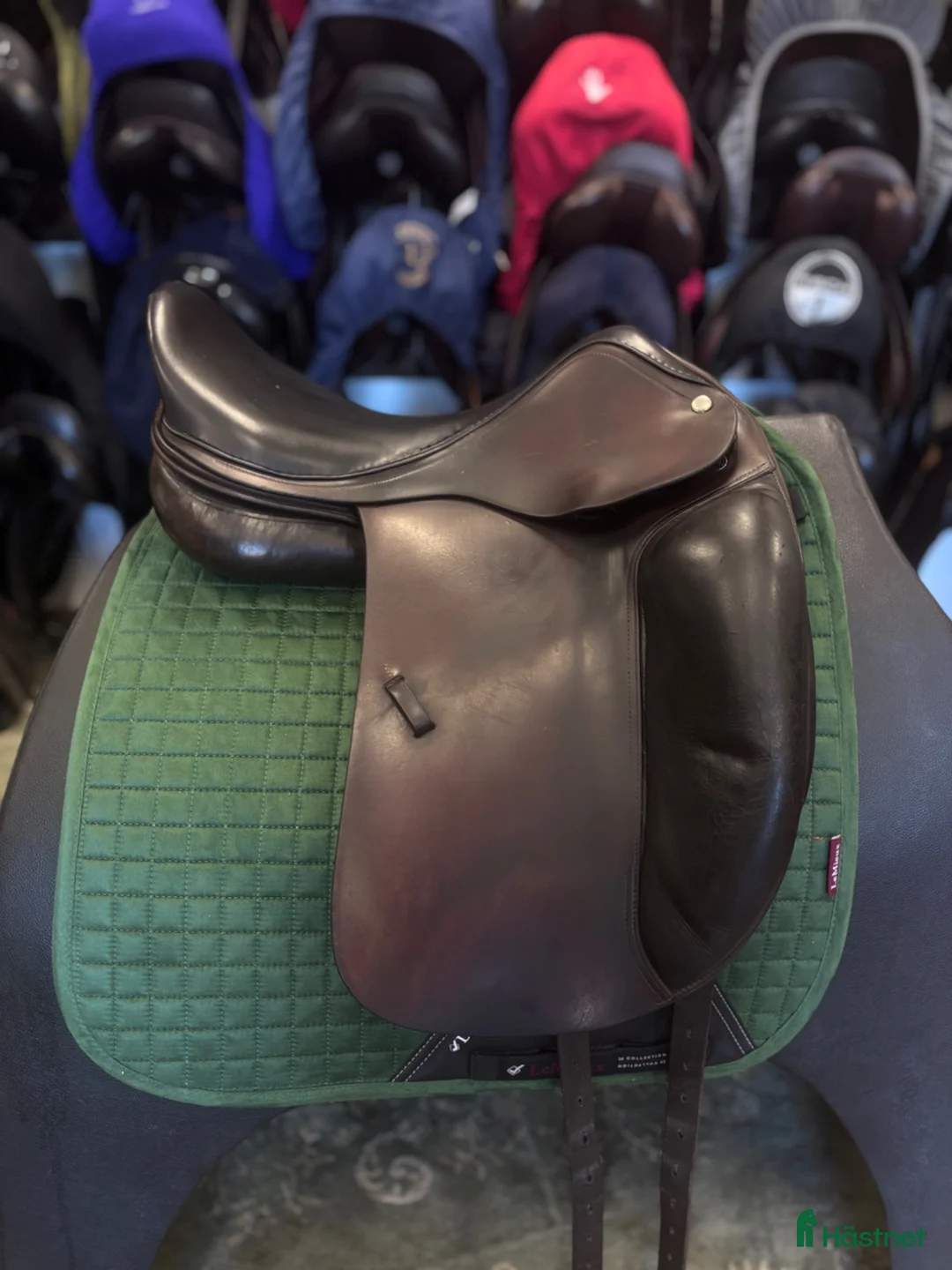 Sadlar hästutrustning till salu: Amerigo Alto 🌸 - Annons 2