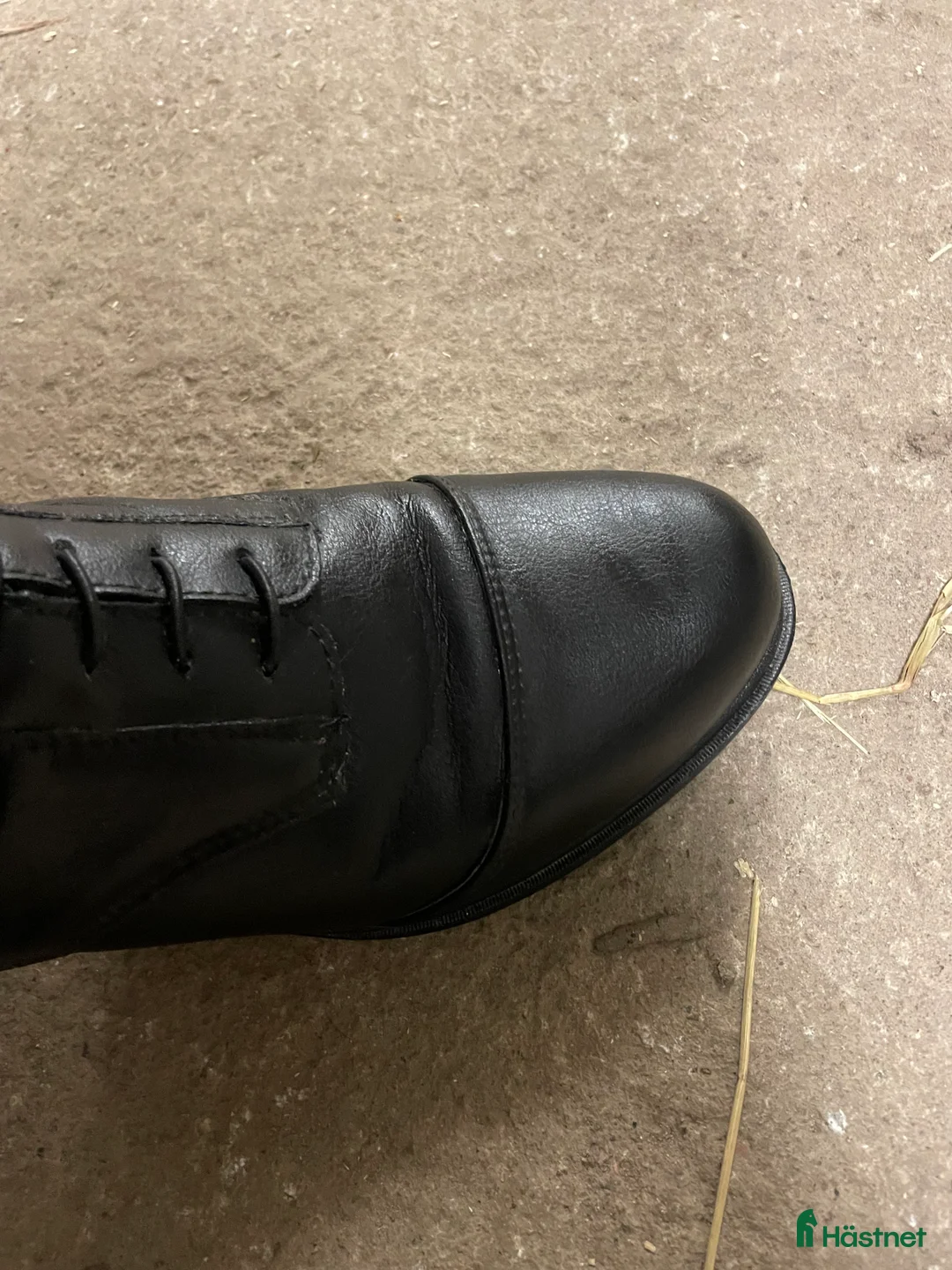 Ridstövlar ryttarutrustning till salu: Ridstövlar i Katrineholm - Annons 5