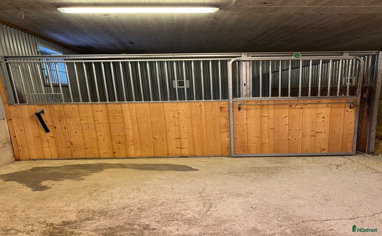  stallplats i Skellefteå - Annons 1