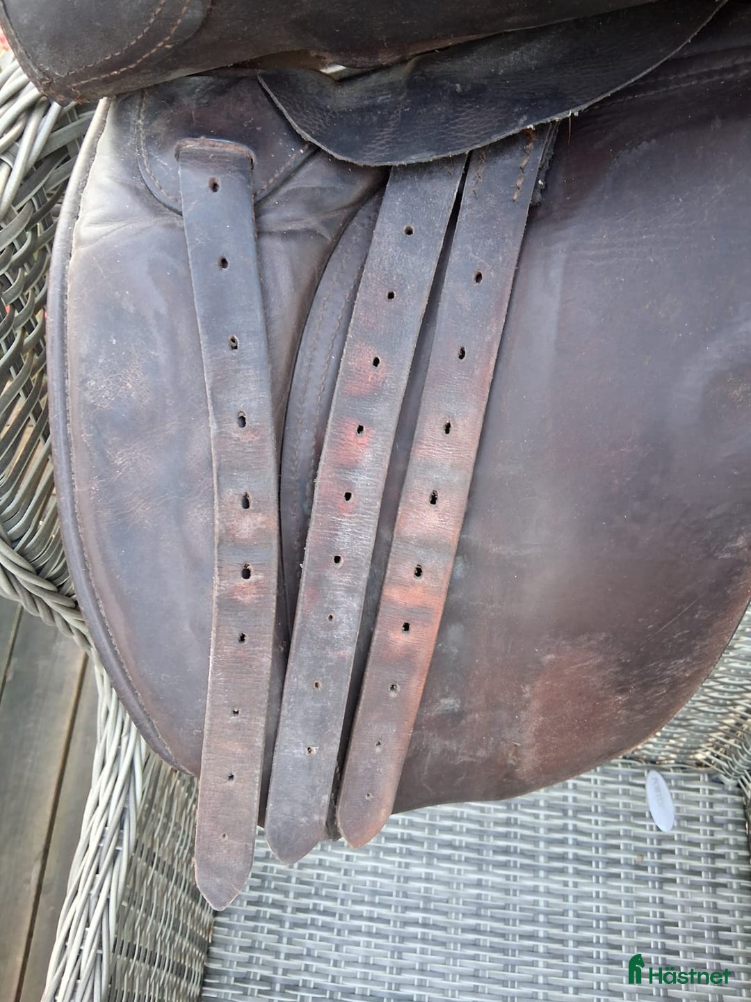 Sadlar hästutrustning till salu: Sadlar: Passier & Henri de Rivel i Ljungbyholm - Annons 13