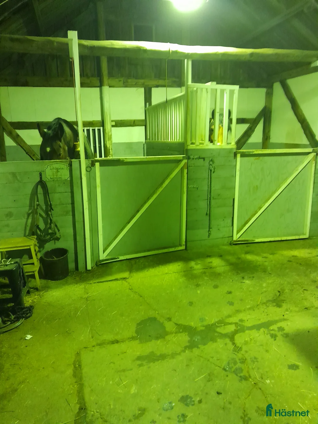  stallplats finnes: Lediga boxar - Annons 1