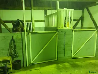 stallplats Lediga boxar - Annons 1