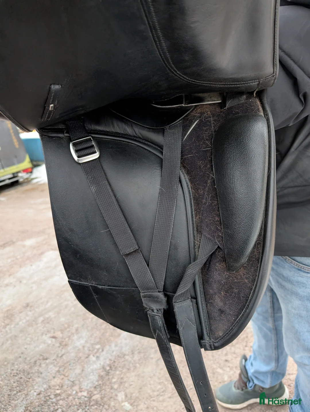 Sadlar hästutrustning till salu: Bates Isabell werth  - Annons 5