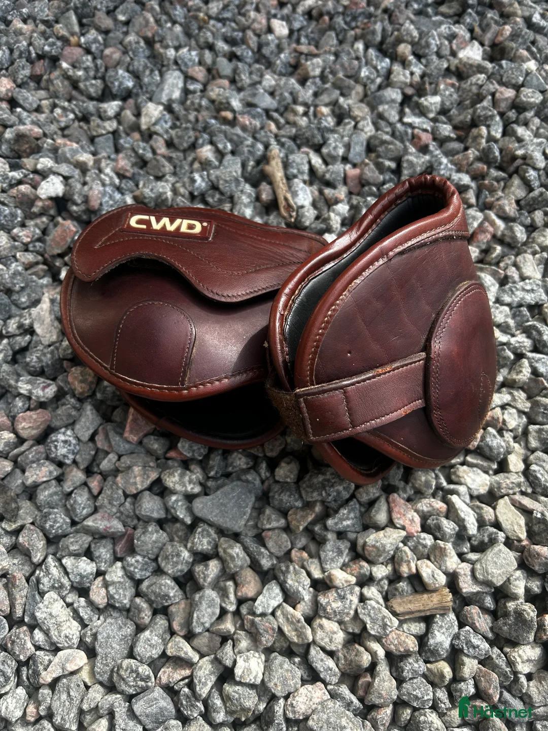 Benskydd hästutrustning till salu: Veredus Carbon gel Vento, Kentucky i Enköping - Annons 6