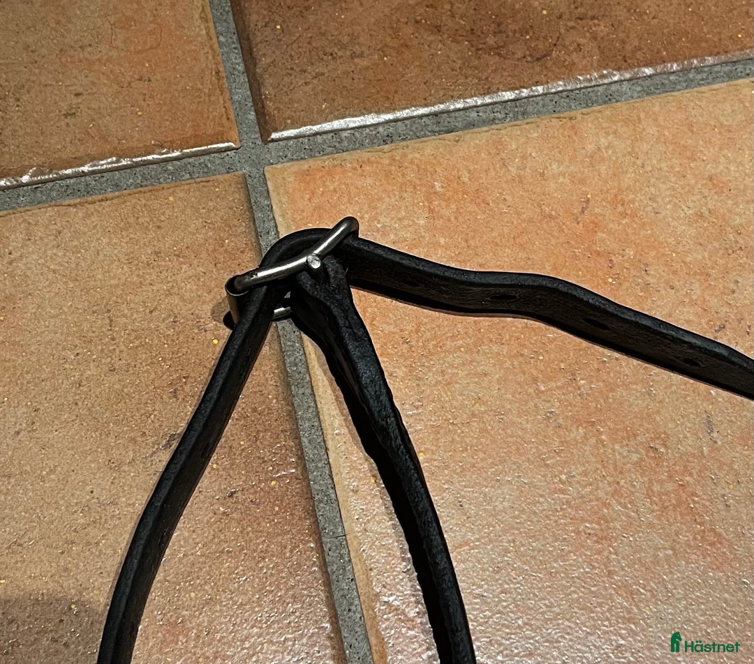 Övrig Hästutrustning hästutrustning till salu: 5 stycken Svarta Tyglar i Rättvik - Annons 4