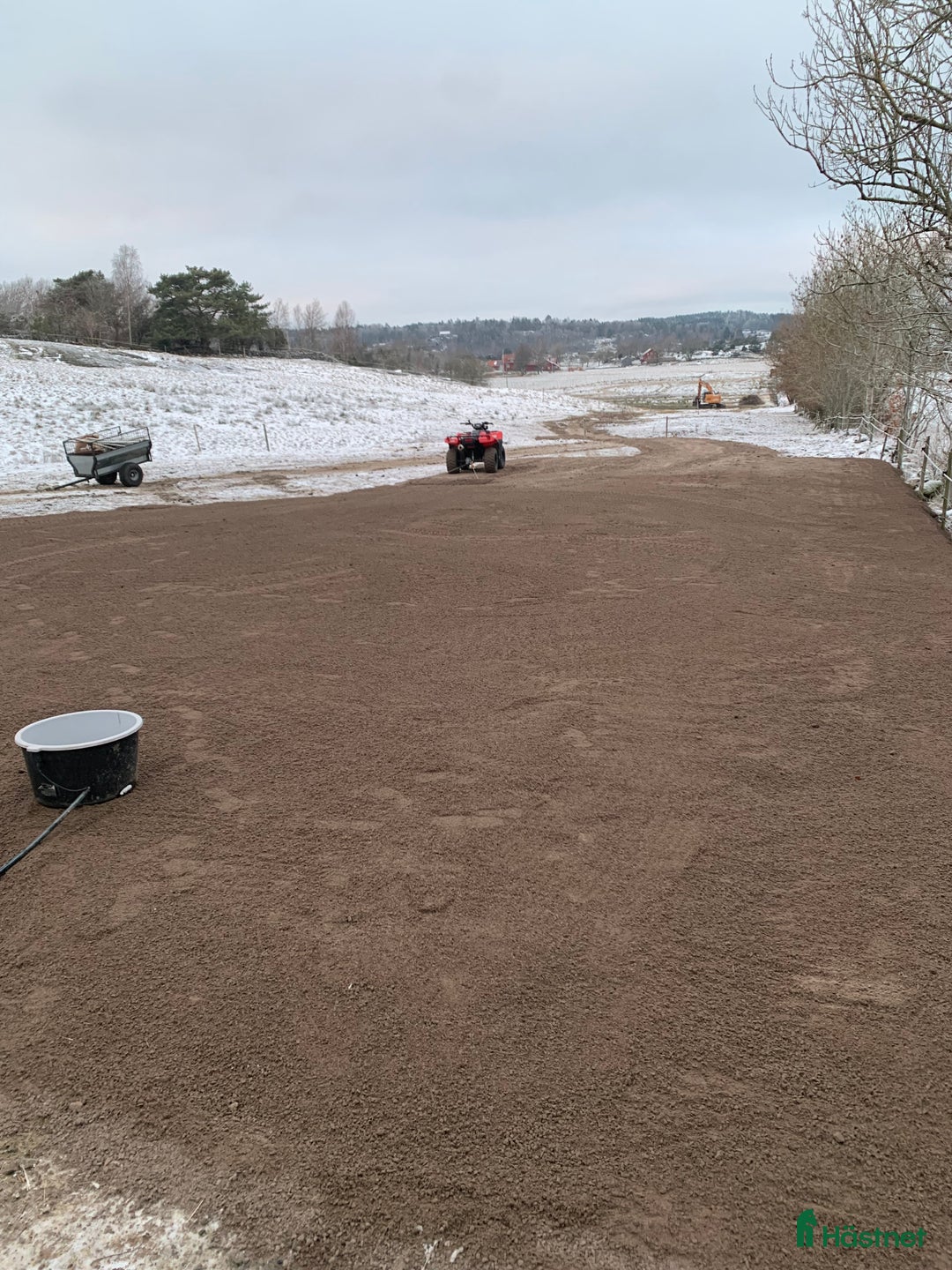 Hoppning hästar sökes: Hopphäst sökes - Annons 4