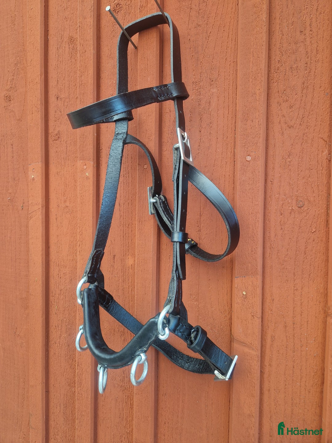 Träns hästutrustning till salu: Massor av träns och tränstillbehör  i Rejmyre - Annons 4