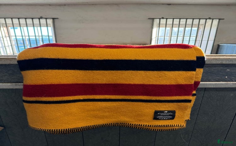 Täcken hästutrustning till salu i Skövde - Annons 42