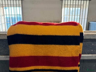 Täcken hästutrustning till salu i Skövde - Annons 1