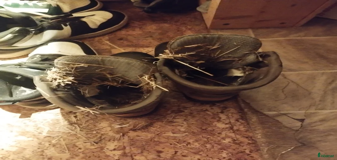 Galleribild {{count}}