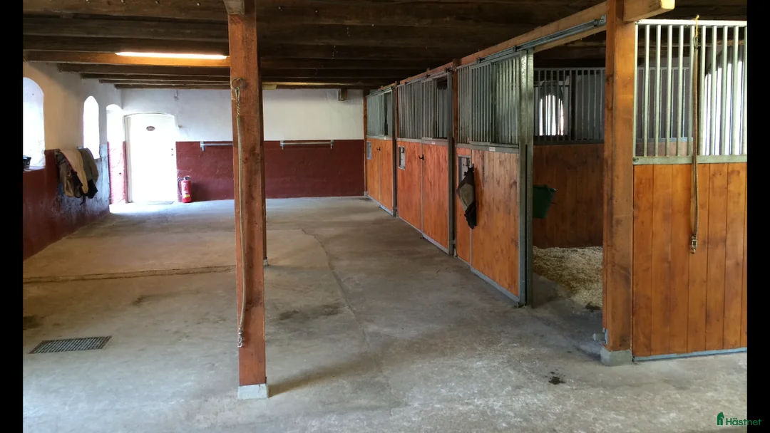  stallplats finnes: Boxplats/-er uthyres i lugnt och familjärt stall - Annons 3
