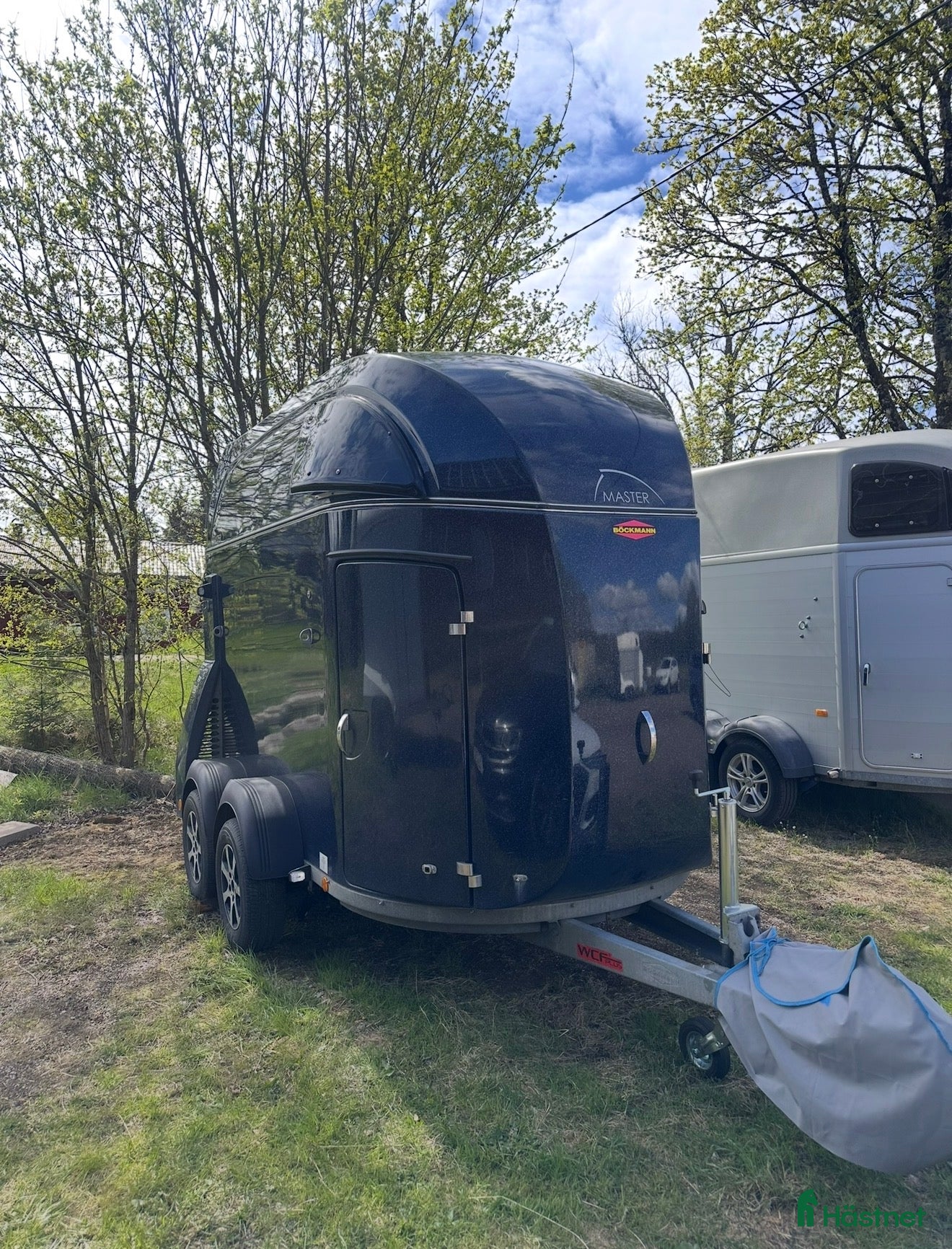 Hästtransporter  fordon & transport till salu: Böckmann Master 2017 - Annons 7