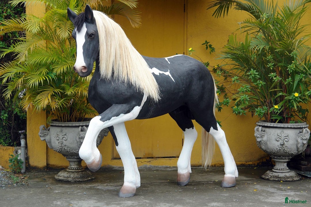 Hästinspirerad heminredning övrig utrustning till salu: Unika glasfiberhästar i naturlig storlek i Luleå - Annons 9