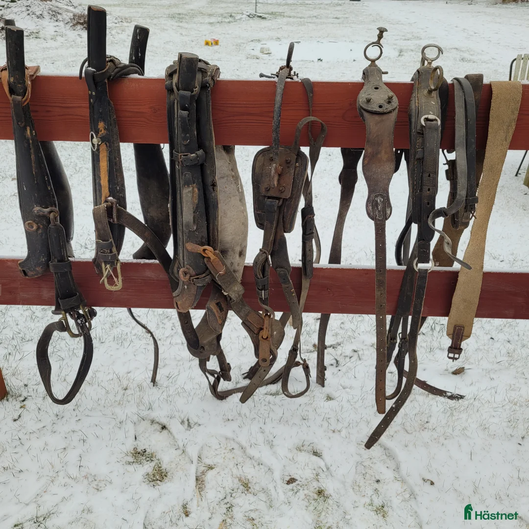 Övrig Körutrustning körning till salu: Lokor övrig körutrustning häst i Mjölby - Annons 1