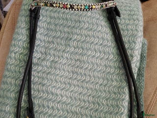 Islandshästutrustning övrig utrustning till salu: Svart rundsytt träns i Timrå - Annons 9