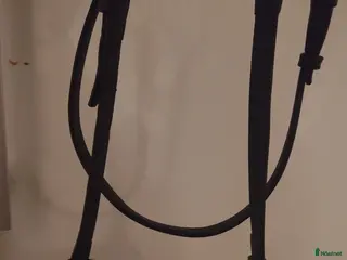 Träns hästutrustning Huvudlag i mörkt läder full storlek - Annons 3