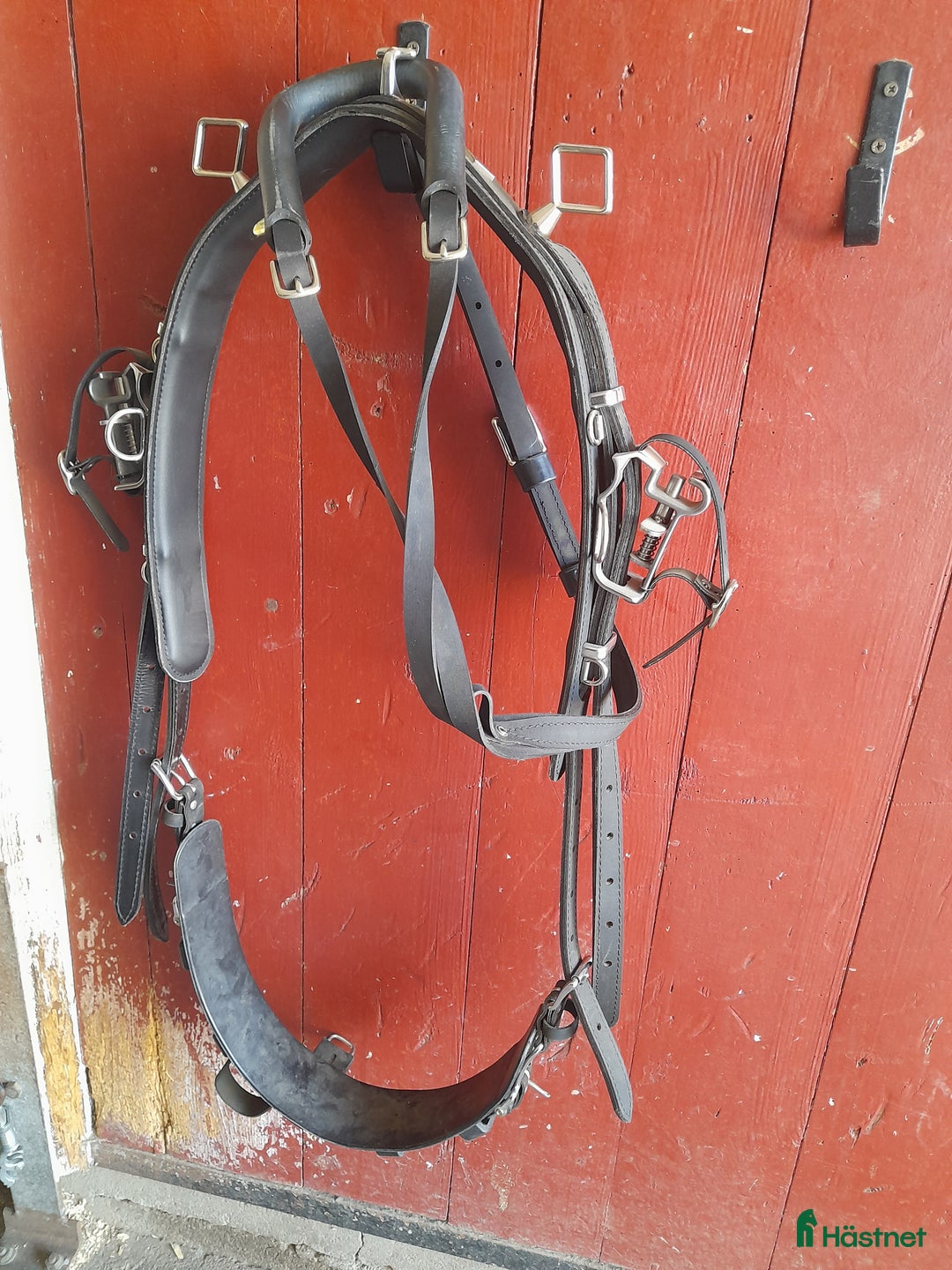 Travselar trav till salu: Ny Racing Tack i Kalmar - Annons 3