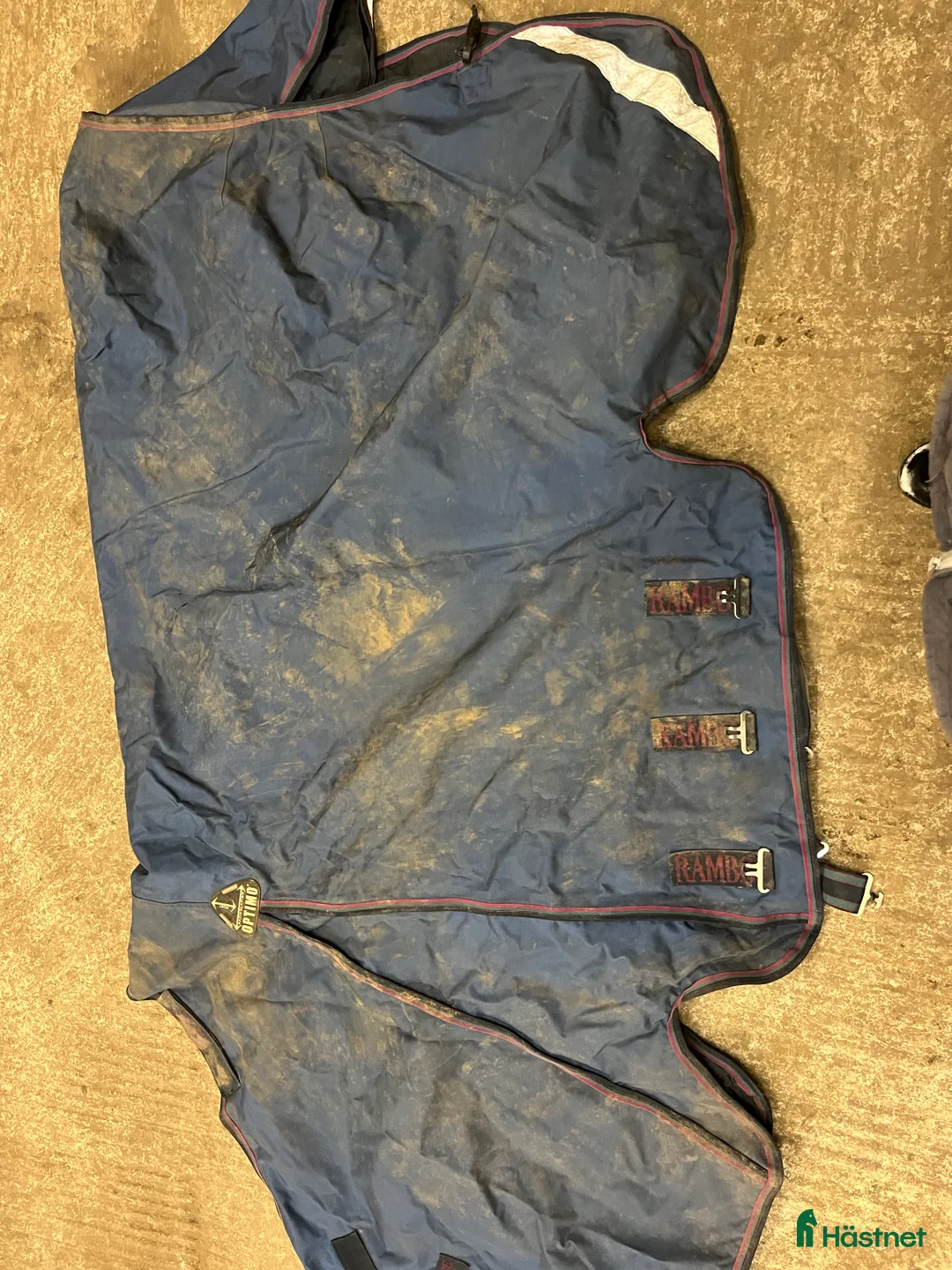 Täcken hästutrustning till salu: Rambo optimo  i Tingsryd - Annons 2