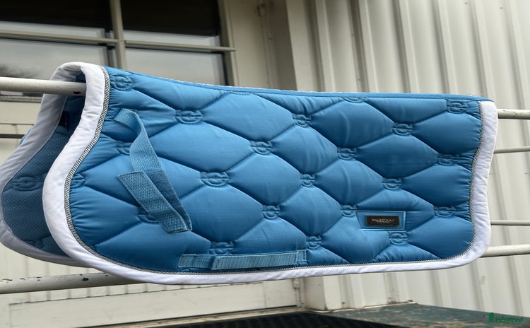 Schabrak & Vojlockar hästutrustning till salu i Kinna - Annons 17