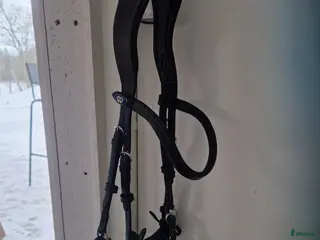 Träns hästutrustning PS Pioneer stl full i Jönköping - Annons 17