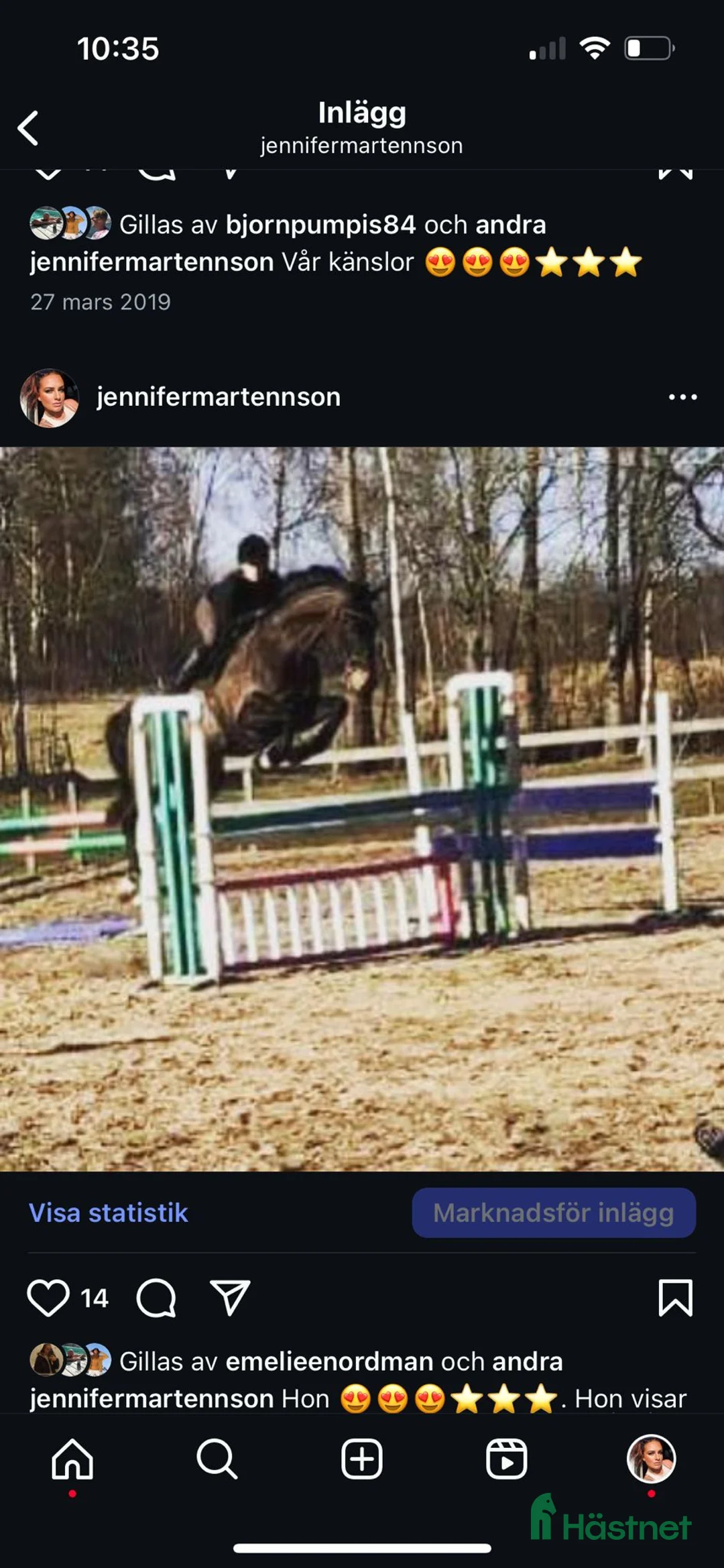 Fälttävlan hästar till salu: Min stjärna  - Annons 7